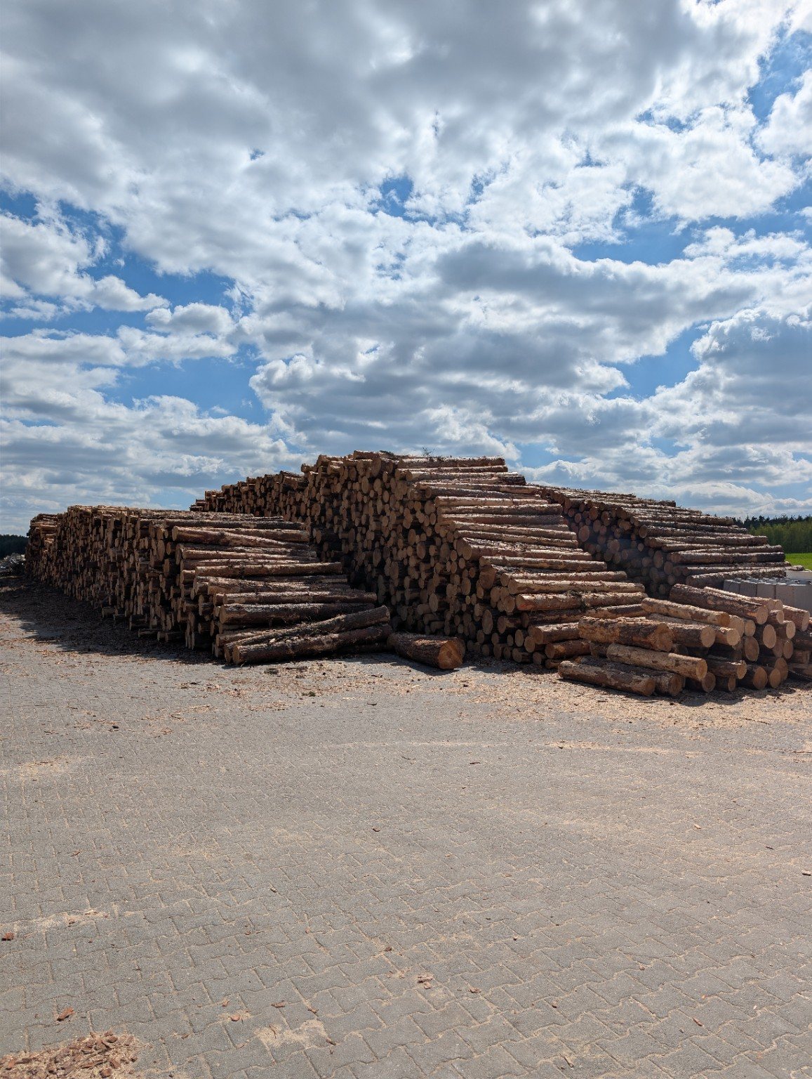 MONWOOD - wooden pallets, project 5